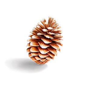 Cartoon Pine Cone PNG Chk