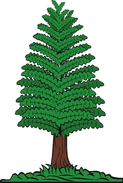 Cartoon Pine Tree Illustration PNG image