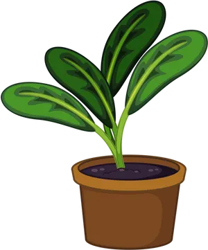 Cartoon Potted Plant Illustration PNG image