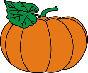 Cartoon Pumpkin Illustration PNG image