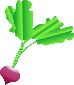 Cartoon Radish Illustration PNG