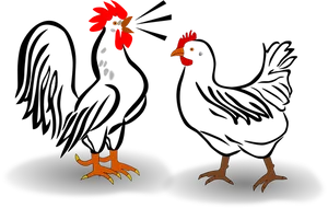 Cartoon Rooster Illusion