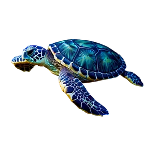 Cartoon Sea Turtle Character Png 9 PNG image