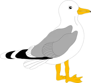 Cartoon Seagull Graphic PNG image
