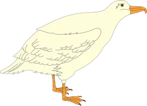 Cartoon Seagull Standing
