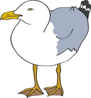 Cartoon Seagull Standing Vector PNG image