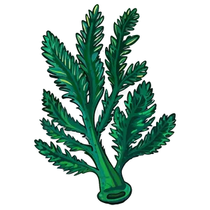 Cartoon Seaweed Image PNG 05242024