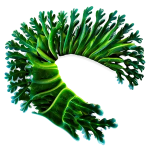 Cartoon Seaweed Image PNG Yhk48
