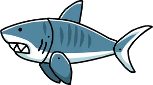 Cartoon Shark Illustration