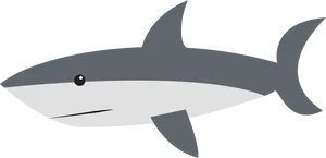 Cartoon Shark Side View PNG image