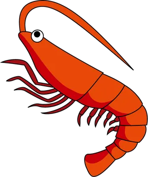 Cartoon Shrimp Illustration PNG image