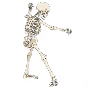 Cartoon Skeleton Dance Png Nim PNG image