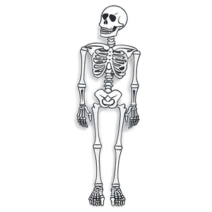 Cartoon Skeleton In Love PNG 06262024