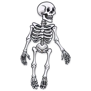 Cartoon Skeleton PNG Jbl