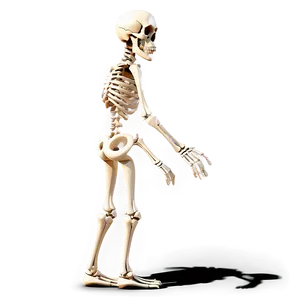 Cartoon Skeleton Side View Png 06262024 PNG image