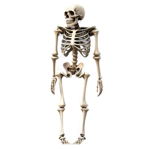 Cartoon Skeleton Side View Png Tam65 PNG image