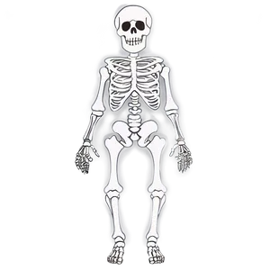 Cartoon Skeleton With Flowers Png 06262024 PNG image