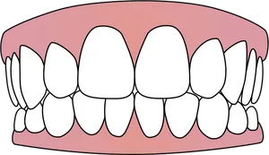 Cartoon Smile Teeth Illustration.png PNG image
