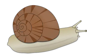 Cartoon Snail Illustration PNG image