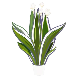 Cartoon Snake Plant PNG 38