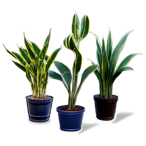 Cartoon Snake Plant PNG Cdk88 PNG