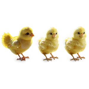 Cartoon Style Chick PNG 05242024 PNG