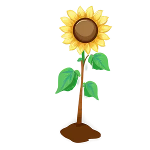 Cartoon Sunflower Character PNG 05252024