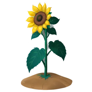 Cartoon Sunflower Character PNG Bck68