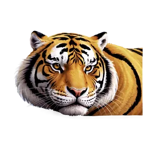 Cartoon Tiger Face Smile Png 06252024 PNG image