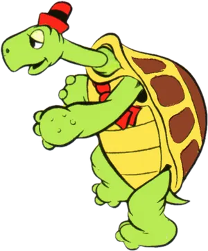 Cartoon Tortoise Wearing Hat PNG image