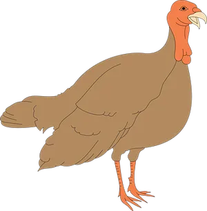 Cartoon Turkey Illustration