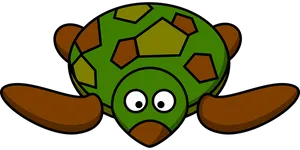 Cartoon Turtle Graphic PNG image