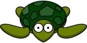 Cartoon Turtle Graphic PNG image