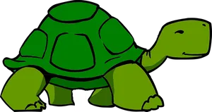 Cartoon_ Turtle_ Graphic PNG image