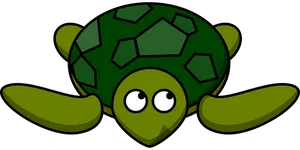 Cartoon Turtle Graphic PNG image