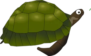 Cartoon Turtle Illustration