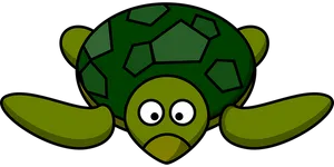 Cartoon Turtle Vector Illustration PNG image