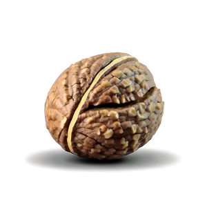 Cartoon Walnut PNG 06122024