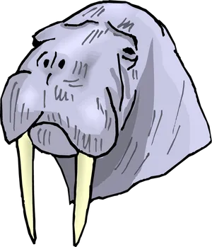 Cartoon Walrus Head Illustration PNG image
