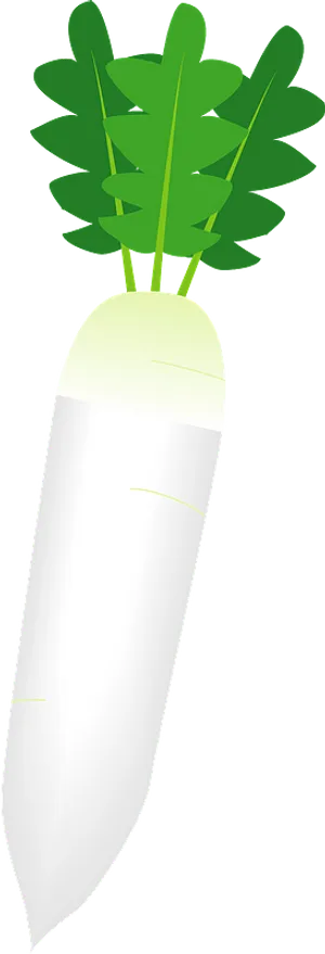 Cartoon White Radish Illustration PNG