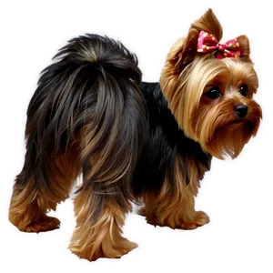 Cartoon Yorkie PNG Dom85 PNG