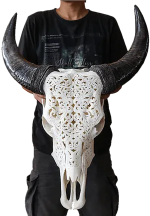 Carved Goat Skullwith Horns PNG
