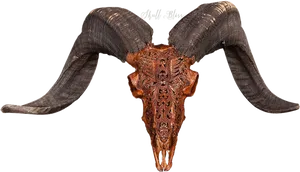 Carved Ram Skullwith Horns PNG image
