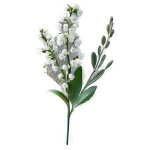 Cascading Baby's Breath PNG Waf