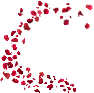 Cascading_ Red_ Rose_ Petals PNG image