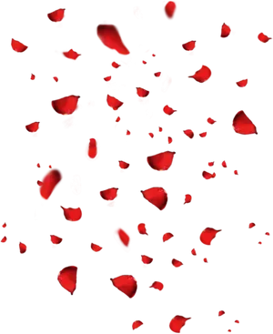 Cascading Red Rose Petals PNG image
