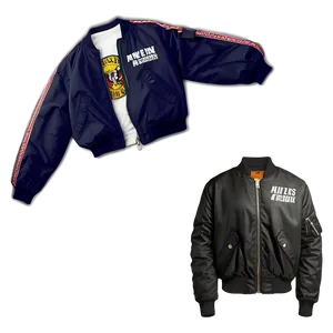 Casual Streetwear Bomber Jacket Png Qwf82 PNG image