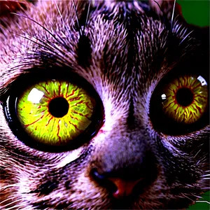 Cat Eyeball Png Xrx PNG image