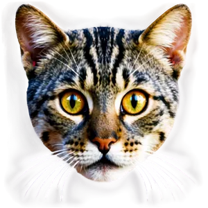 Cat Face Clipart Png Kdq PNG image