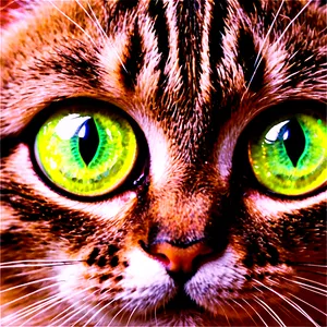 Cat Face Clipart PNG Vkl
